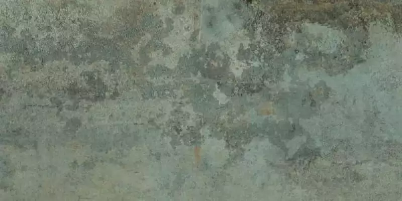 Rusty Metal Moss 60x120